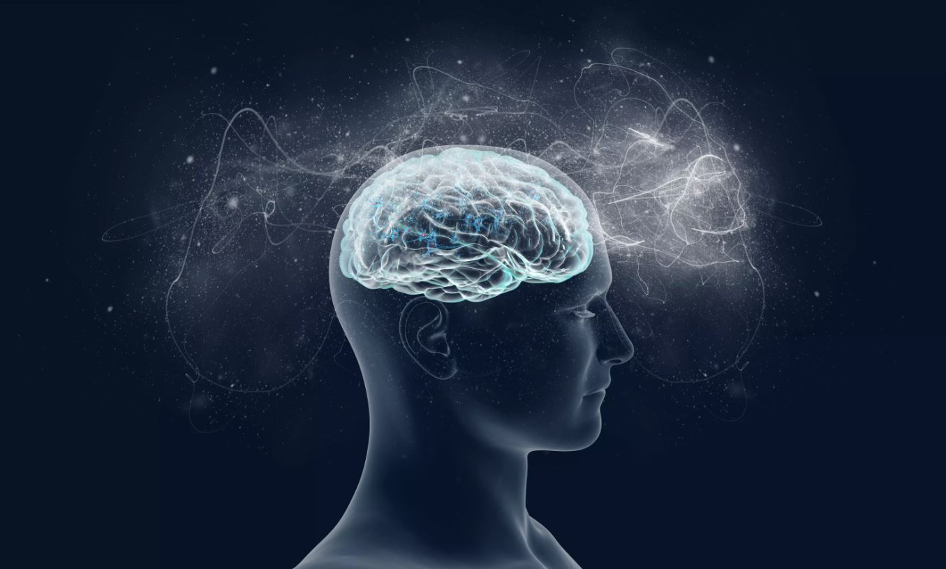 Inside the Mind of a Musician: Exclusive Interviews with Top Artists